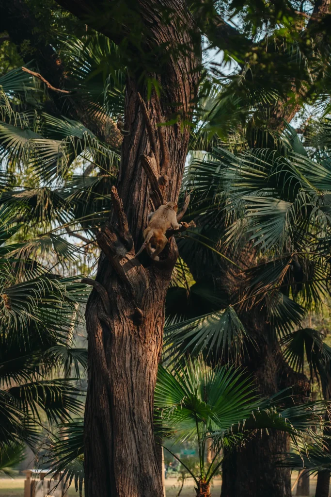 New Delhi 90