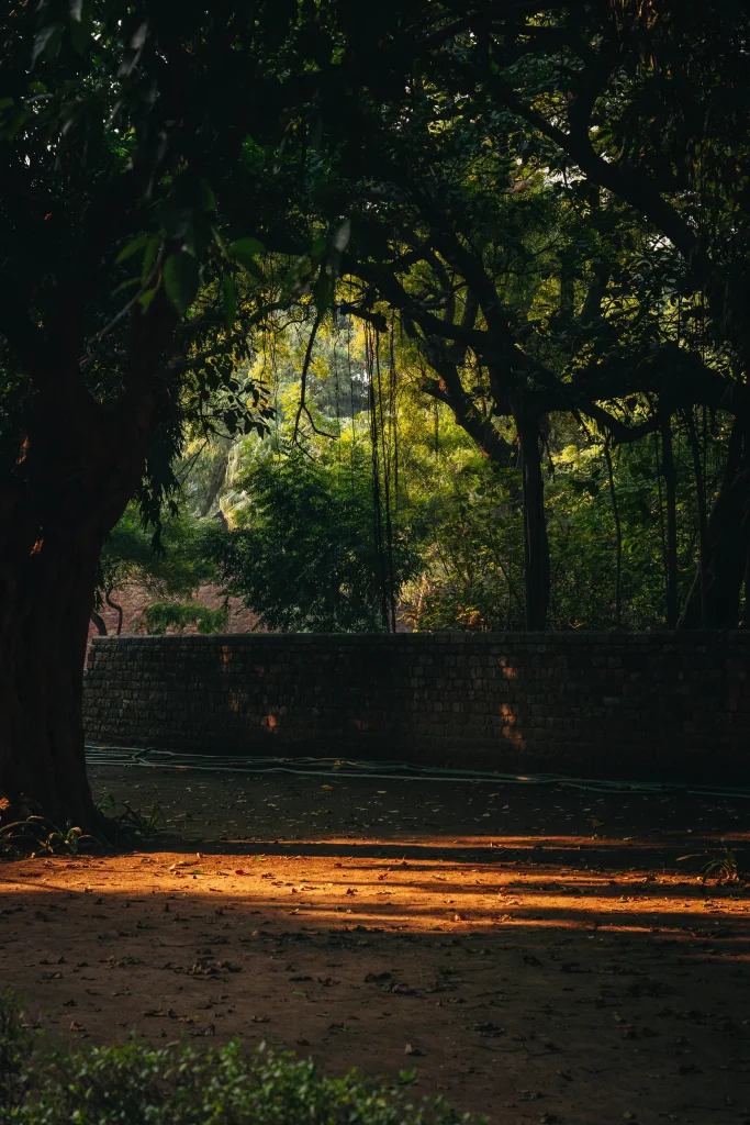 New Delhi 116