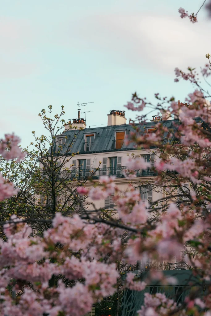 Paris 40