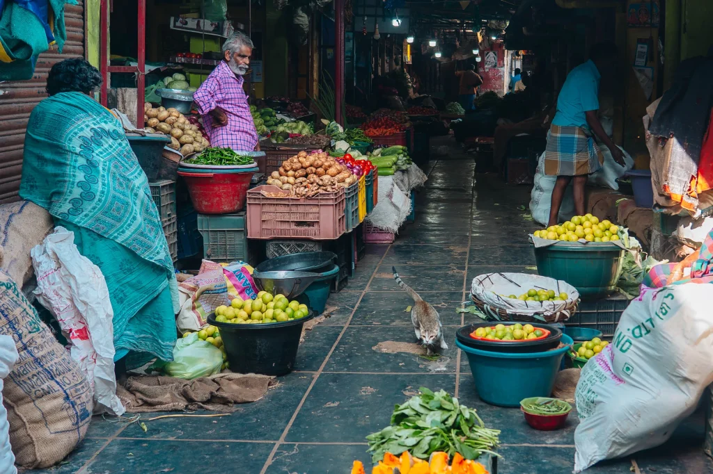 Pondichéry 06