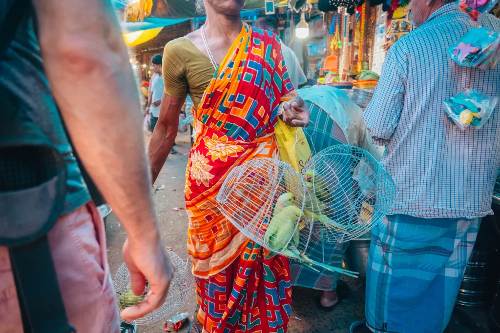 Pondichéry 08