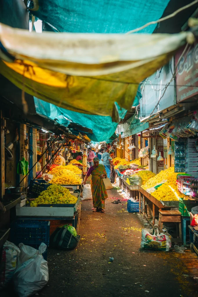 Pondichéry 11