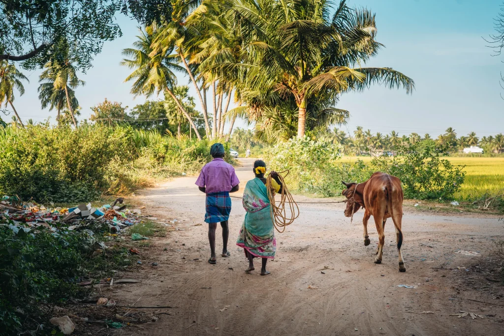 Pondichéry 28