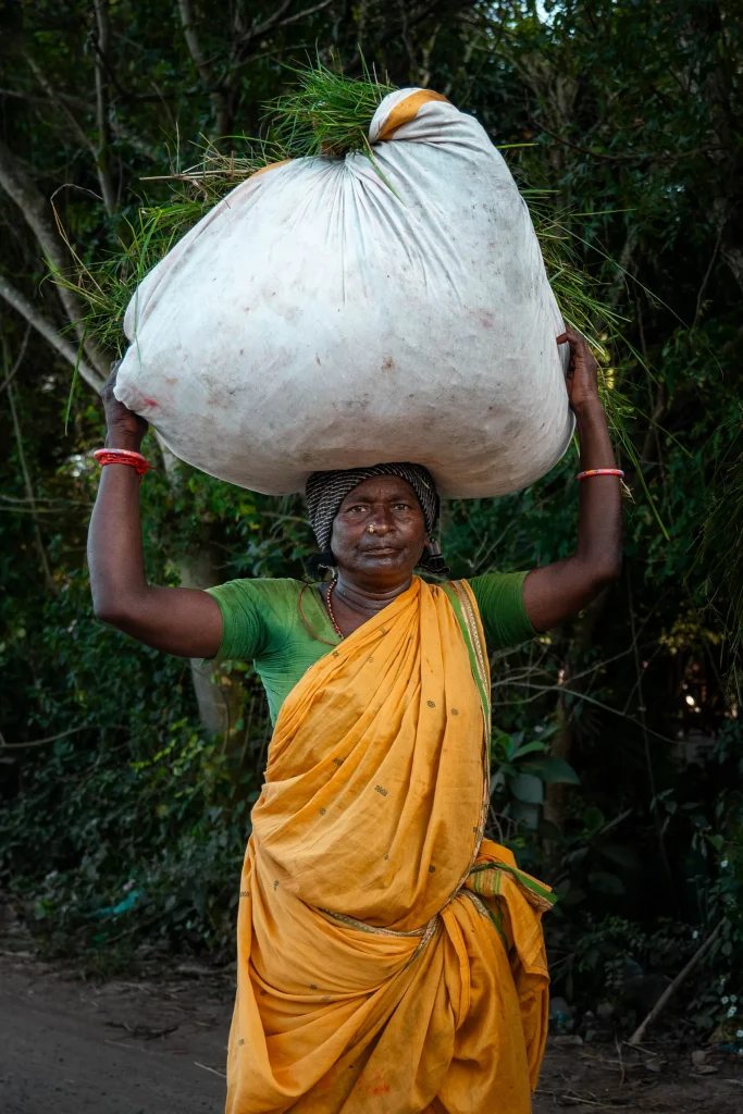 Pondichéry 46
