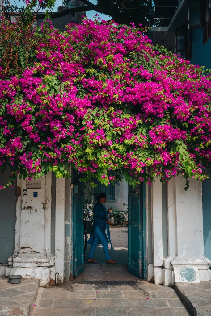 Pondichéry 106