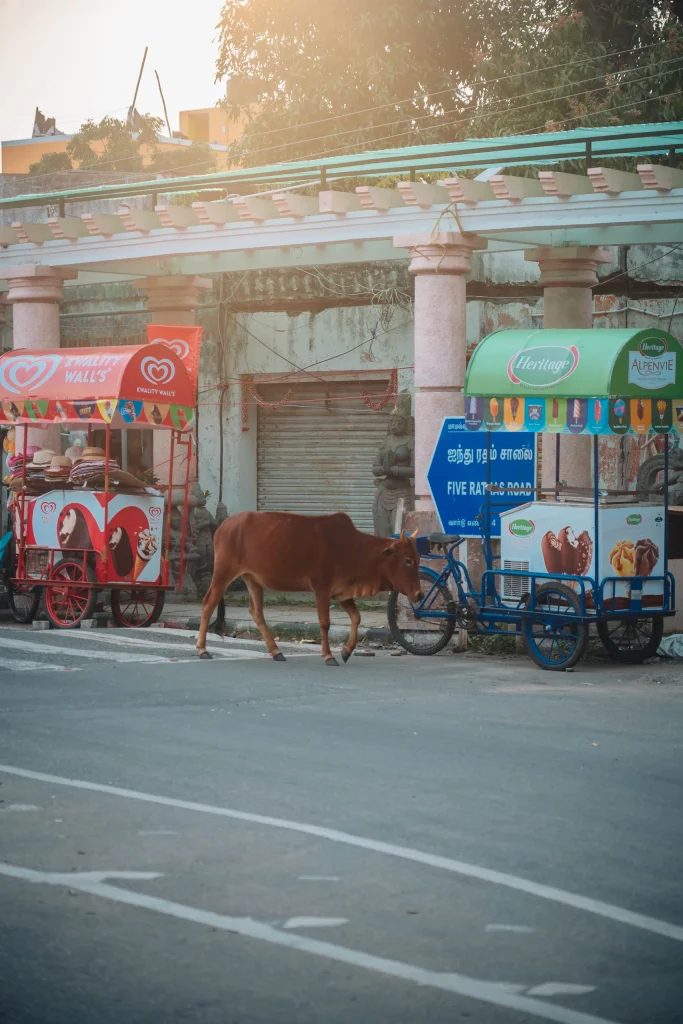 Pondichéry 140