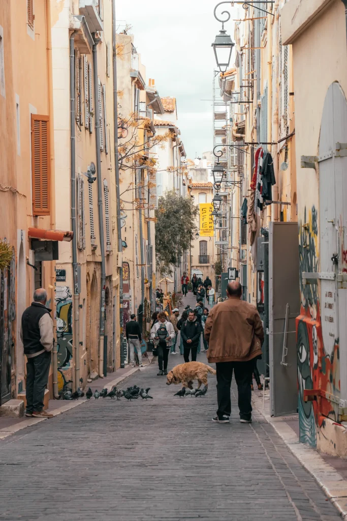 Provence 22