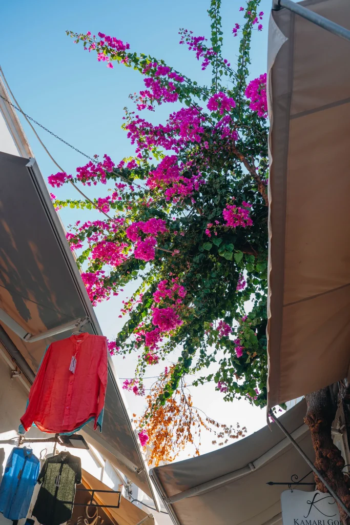 Santorin 14
