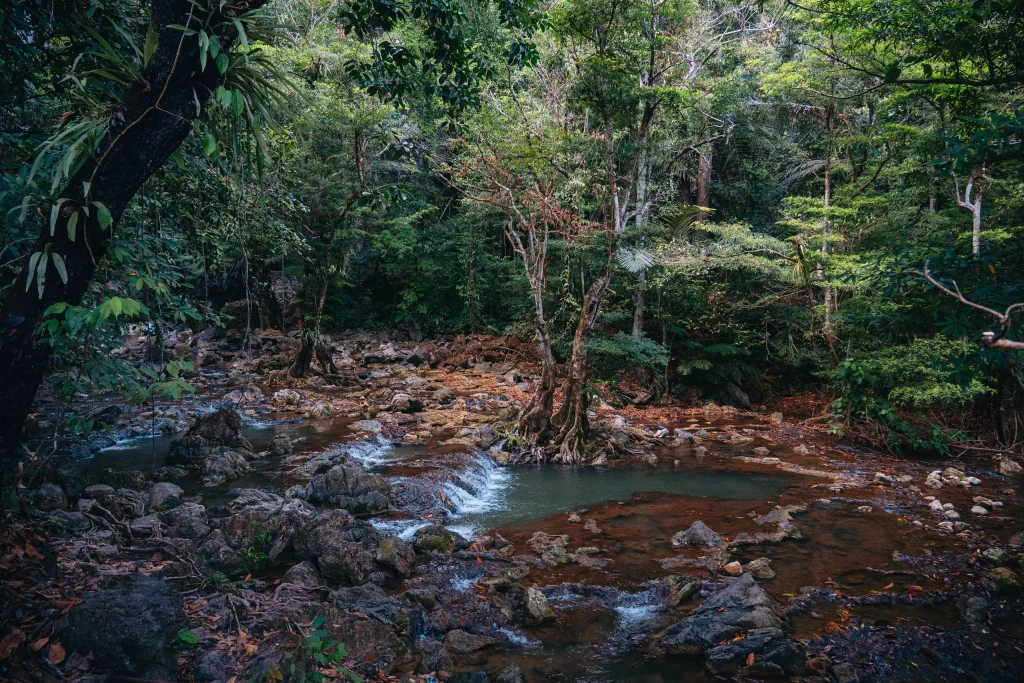 Thaïlande du Sud 62
