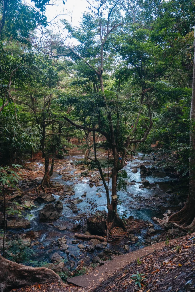 Thaïlande du Sud 63