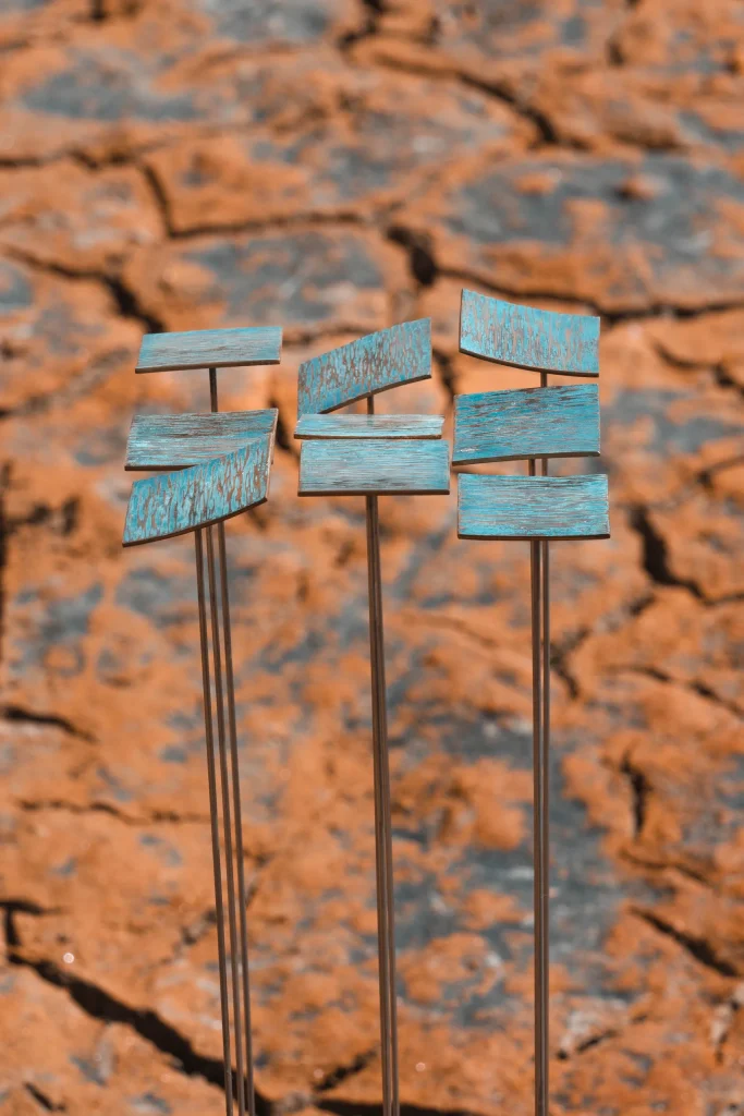 Collaboration Manon Damiens 19