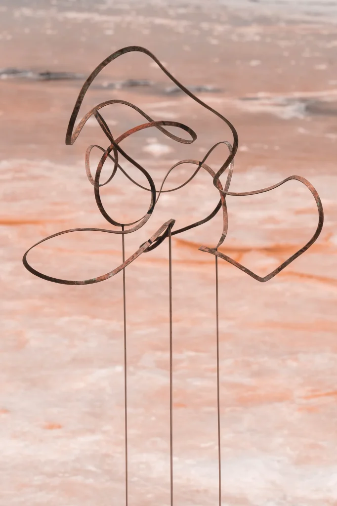 Collaboration Manon Damiens 20