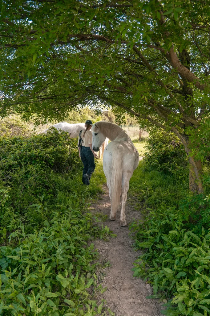 Iris Godin Ostéopathe Animalière – Reportage 02