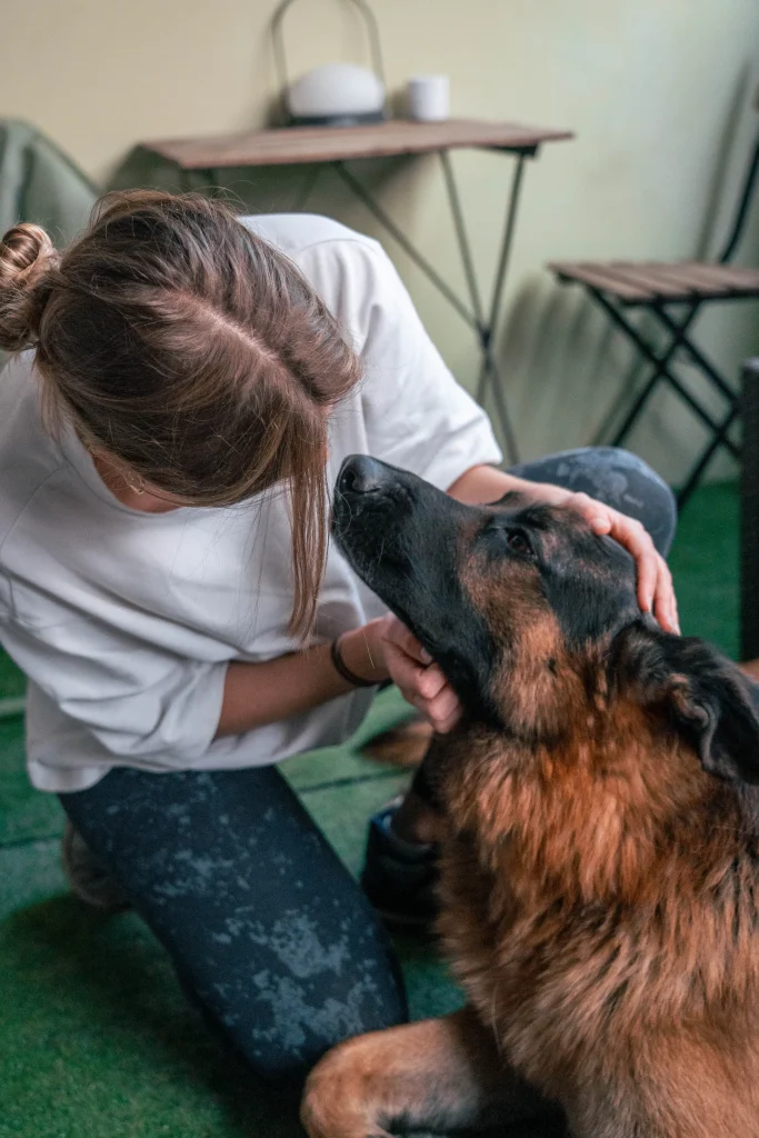 Iris Godin Ostéopathe Animalière – Reportage 13