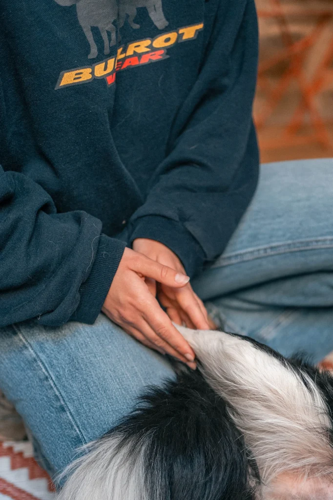 Iris Godin Ostéopathe Animalière – Reportage 17