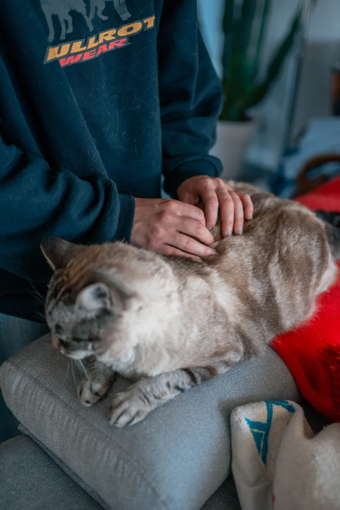 Iris Godin Ostéopathe Animalière – Reportage 26