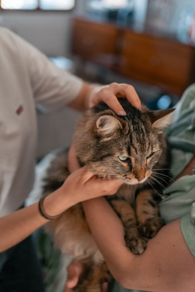 Iris Godin Ostéopathe Animalière – Reportage 28