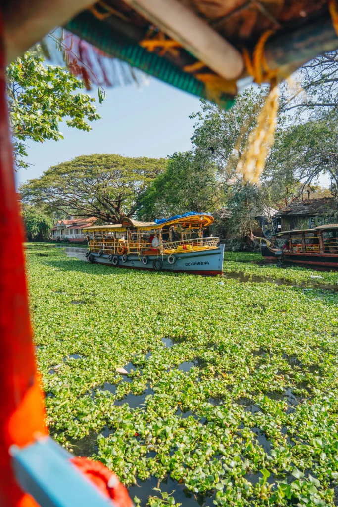 Allepey – 5