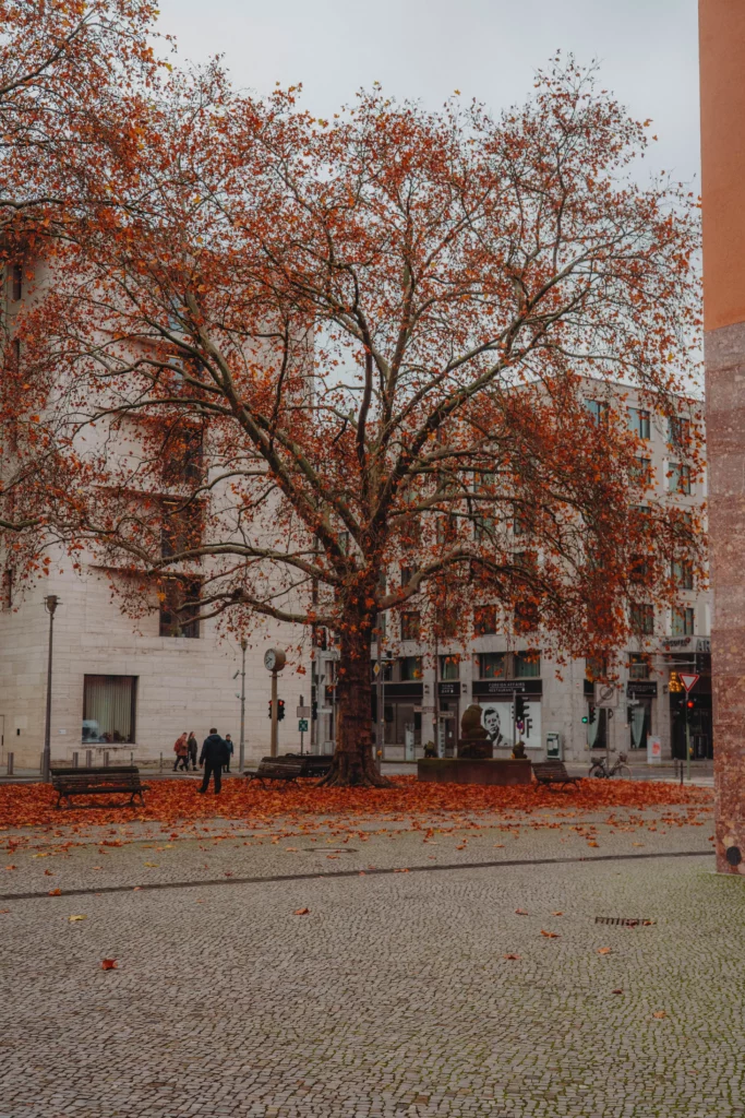 Berlin – 11