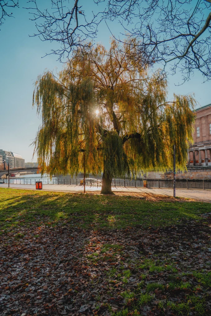 Berlin – 37