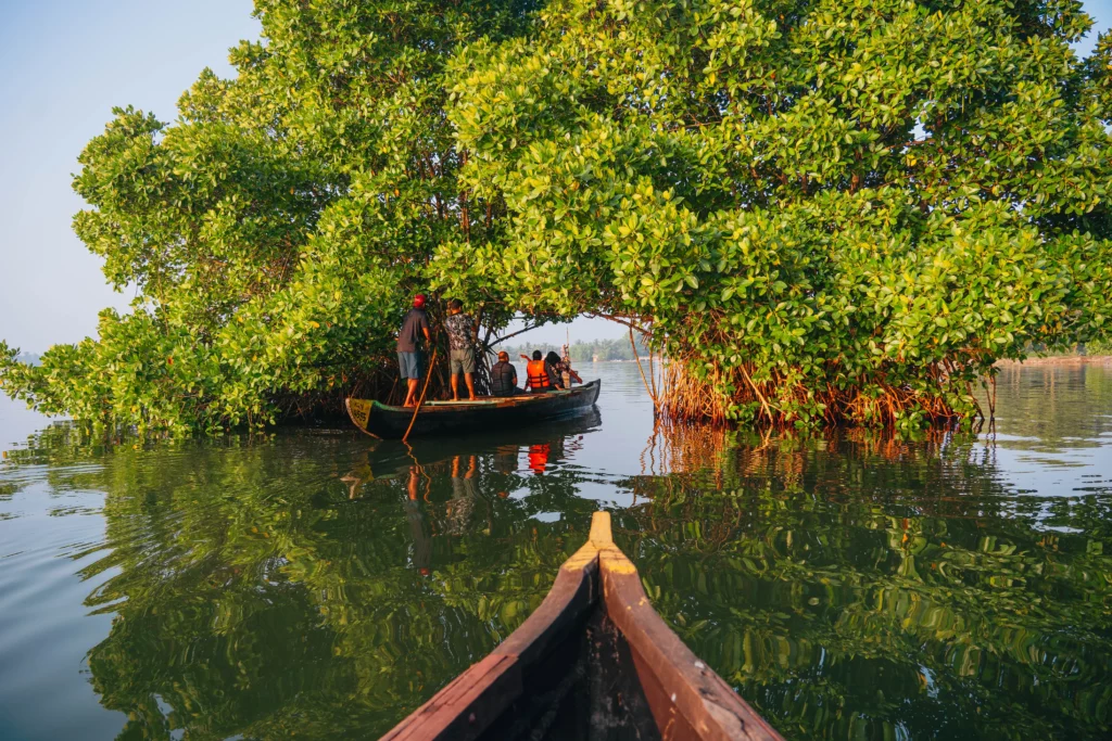 Munroe Island – 103