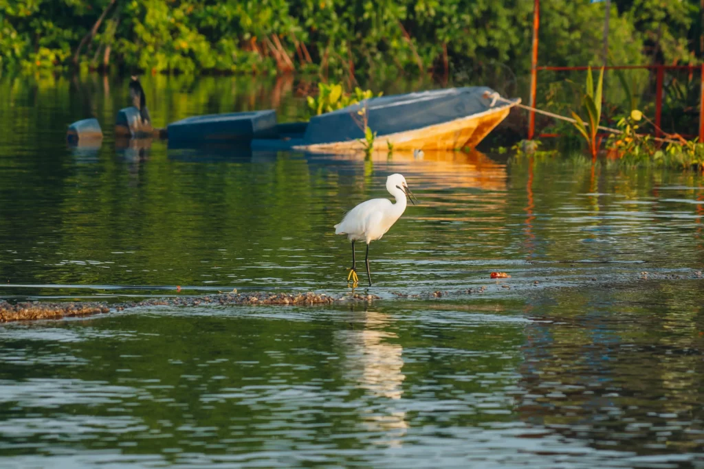 Munroe Island – 104