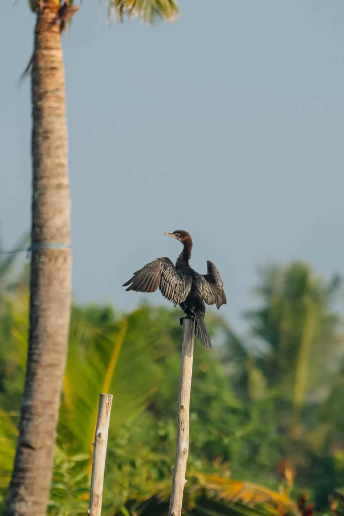 Munroe Island – 108