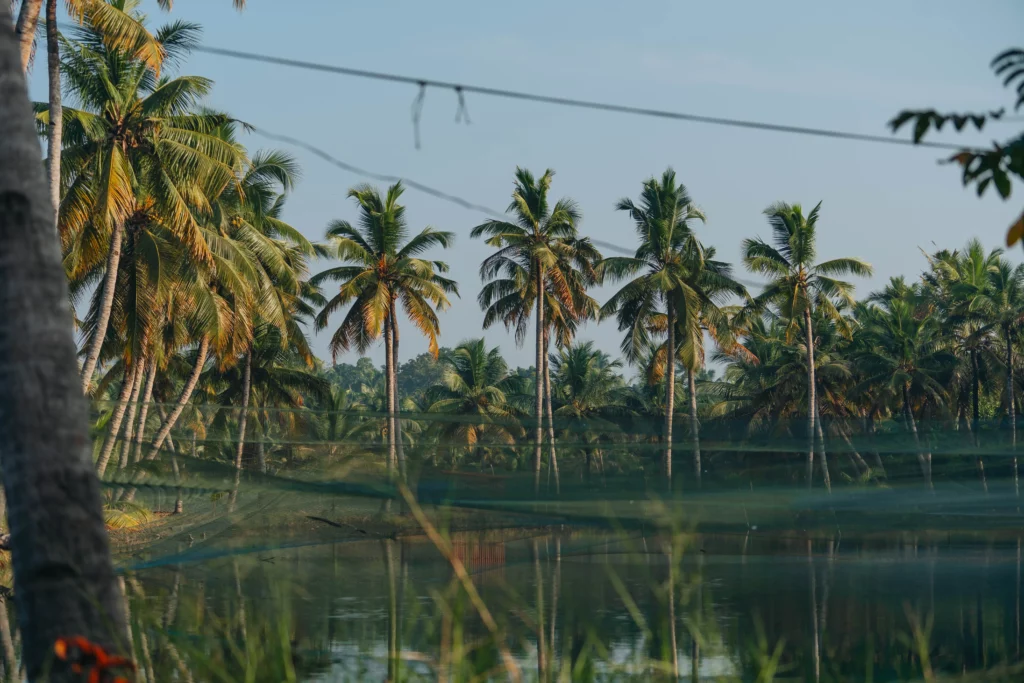 Munroe Island – 109