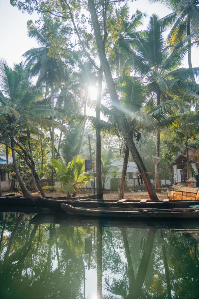 Munroe Island – 118