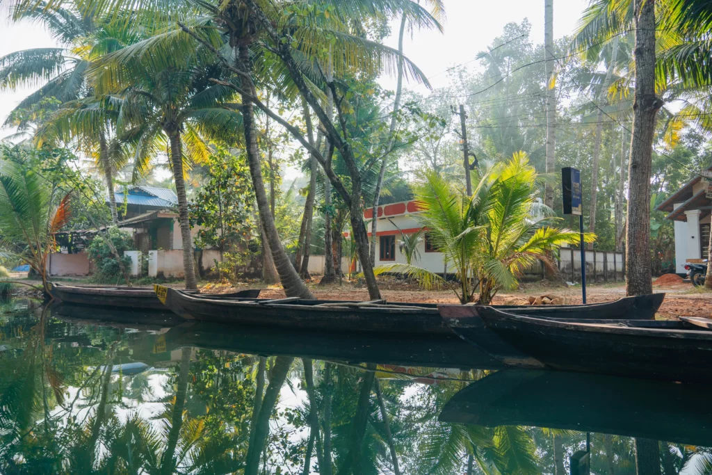 Munroe Island – 119
