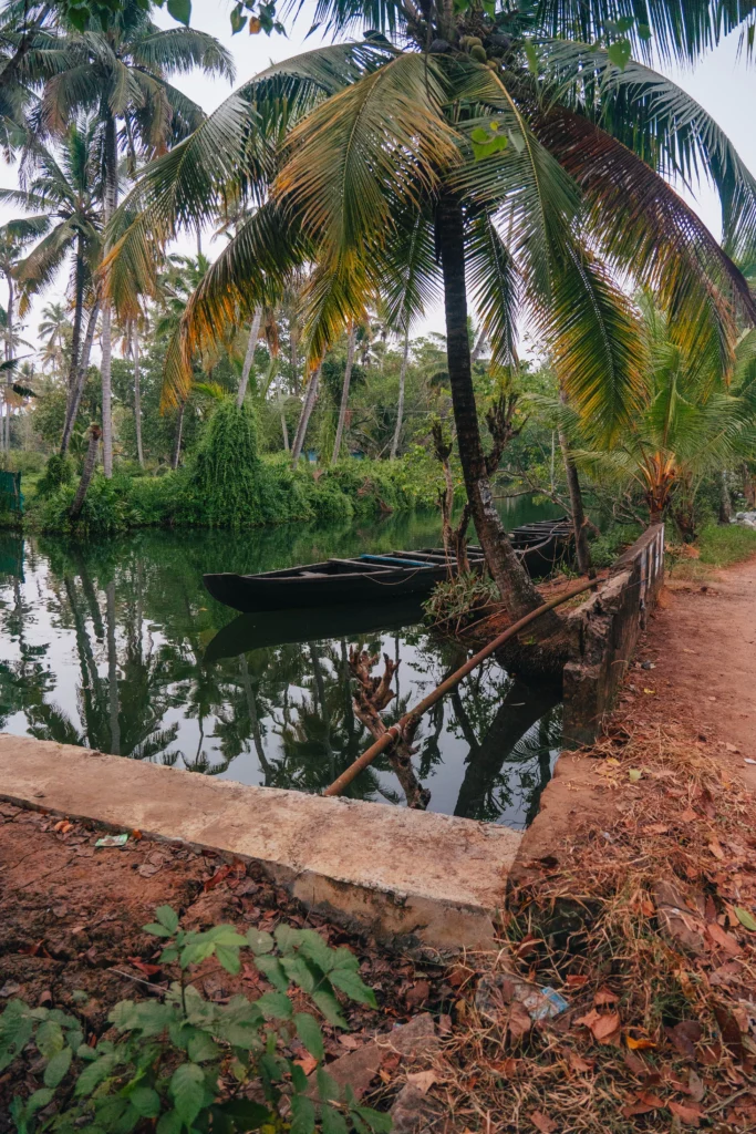 Munroe Island – 74