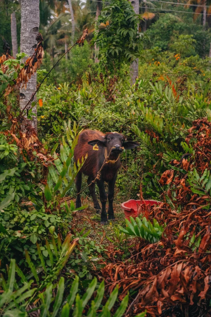 Munroe Island – 75