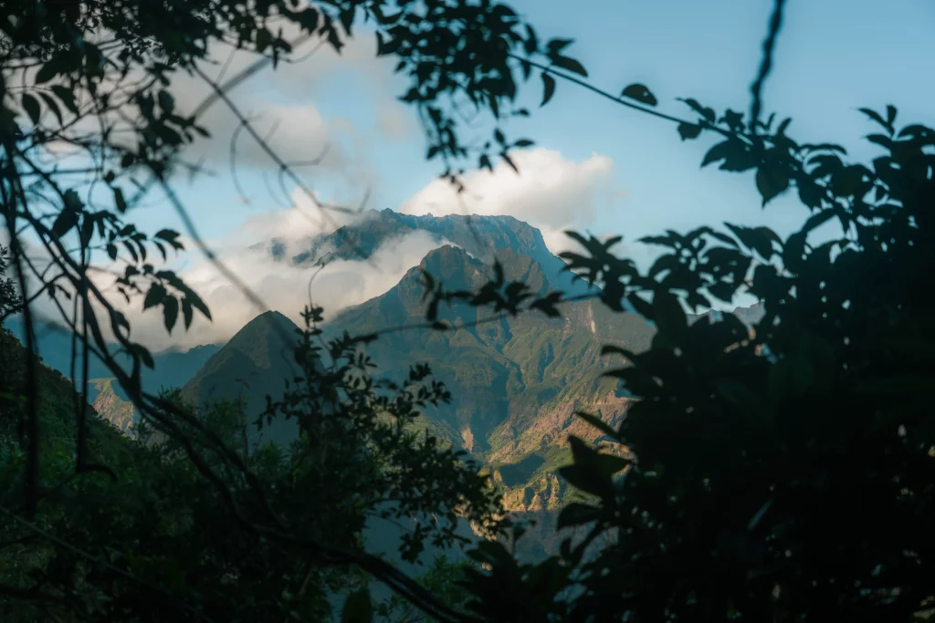 Réunion – 101