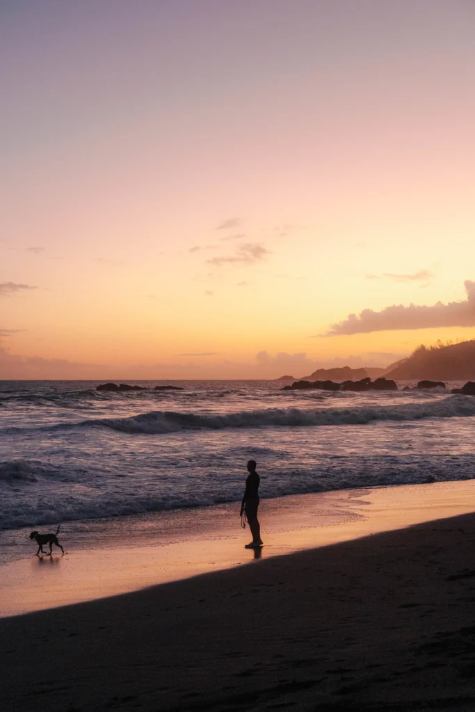 Réunion – 105