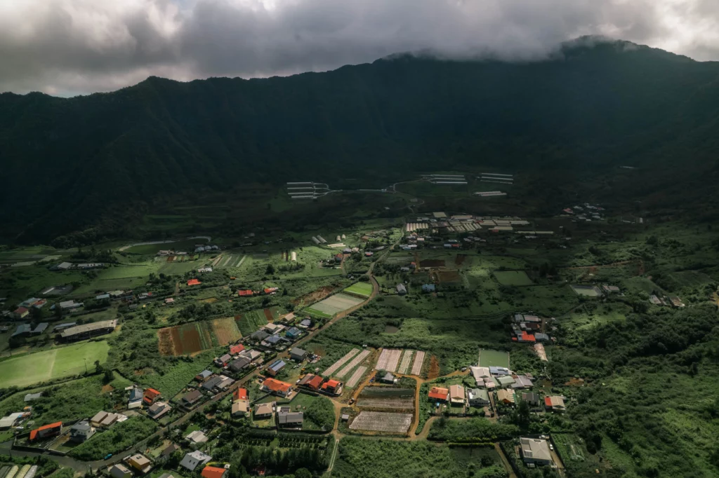 Réunion – 11