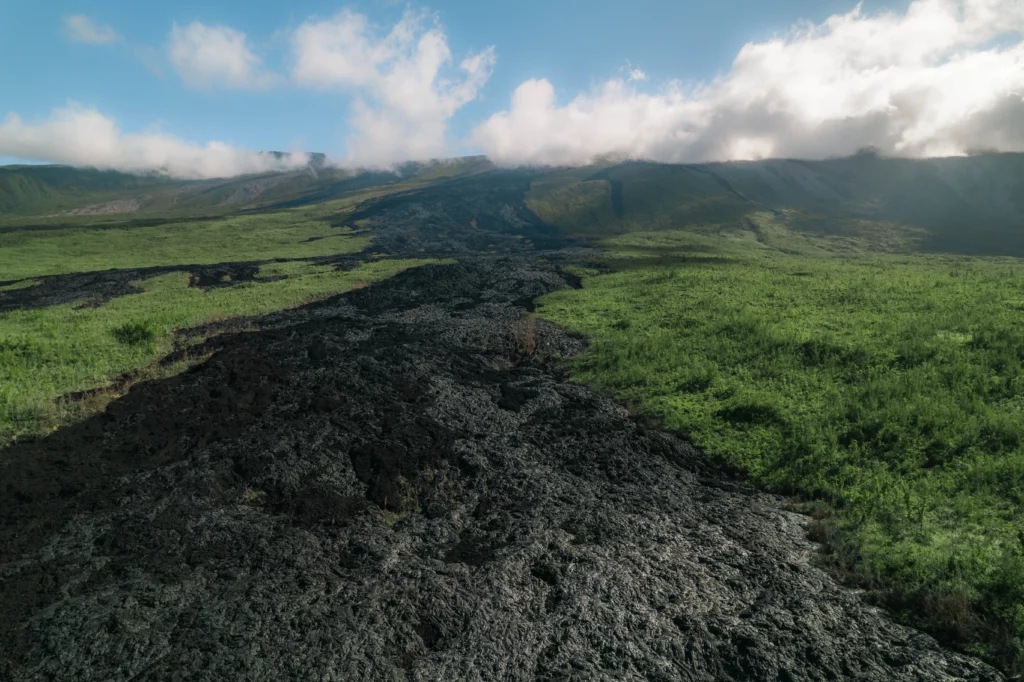 Réunion – 17