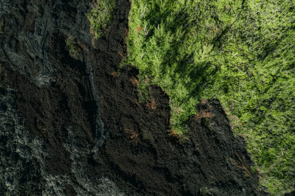 Réunion – 18