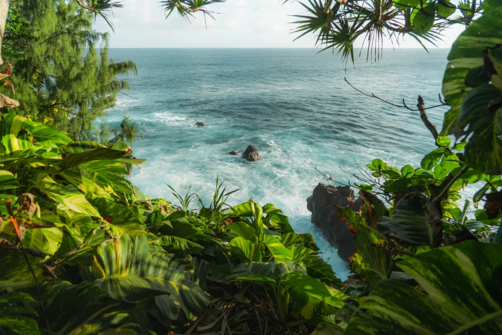 Réunion – 31