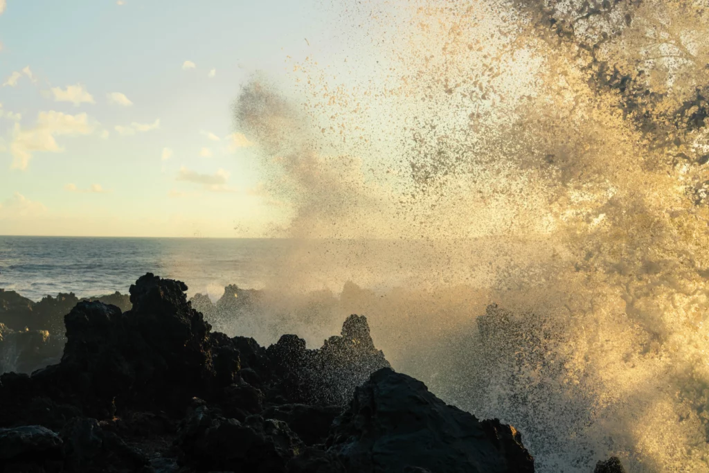 Réunion – 36