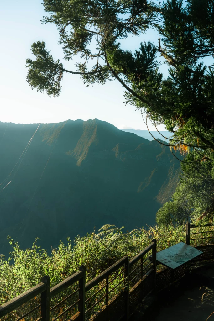 Réunion – 37