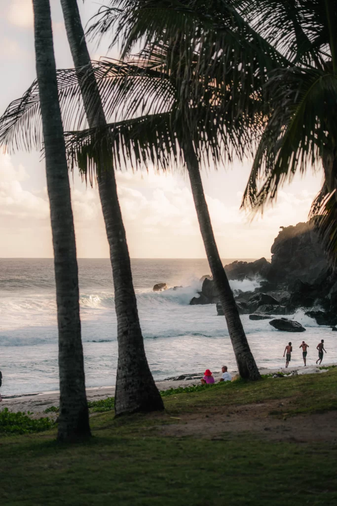 Réunion – 40