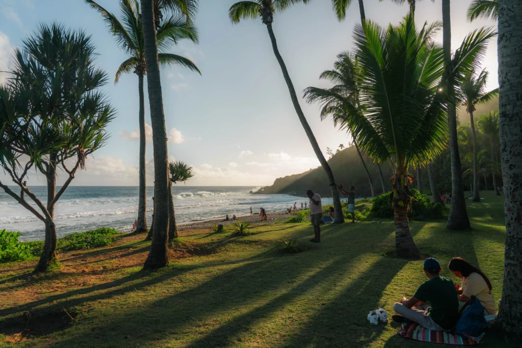 Réunion – 41