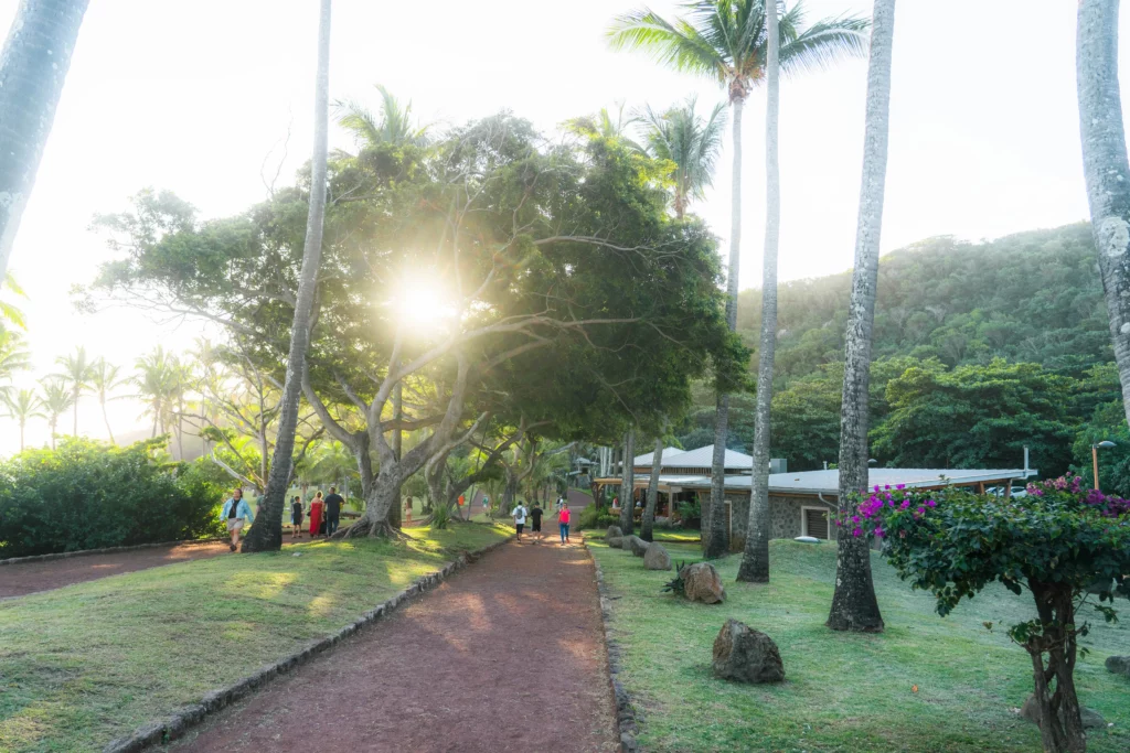 Réunion – 42