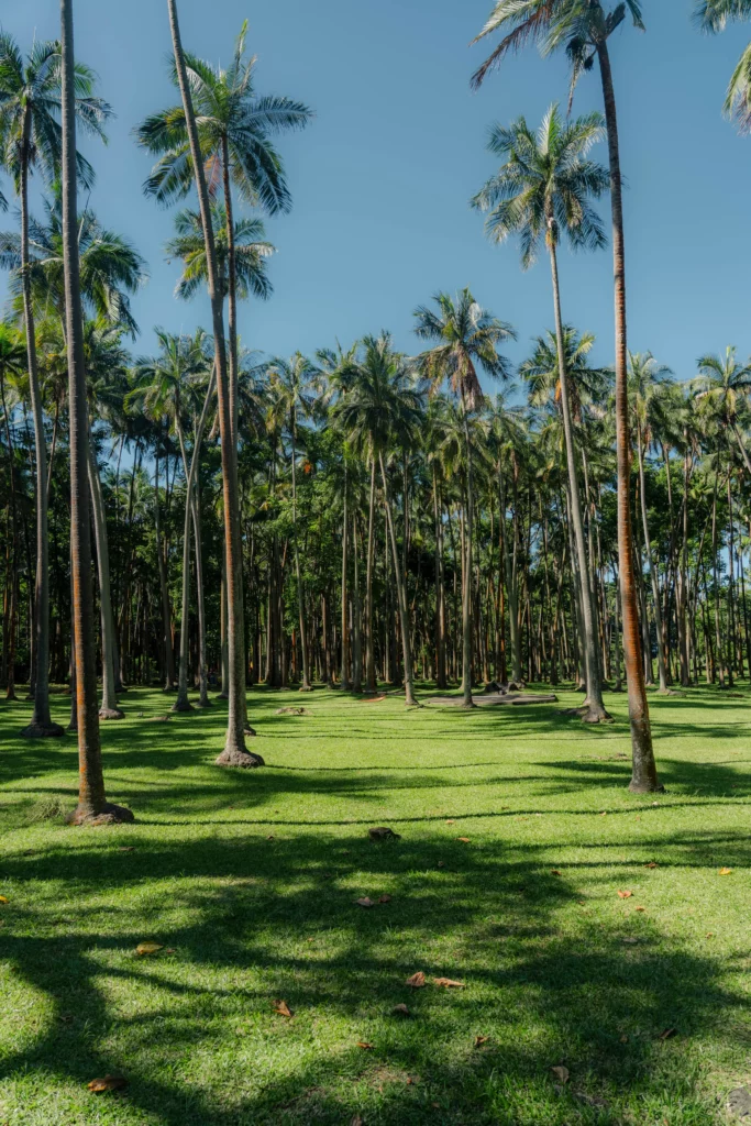 Réunion – 47