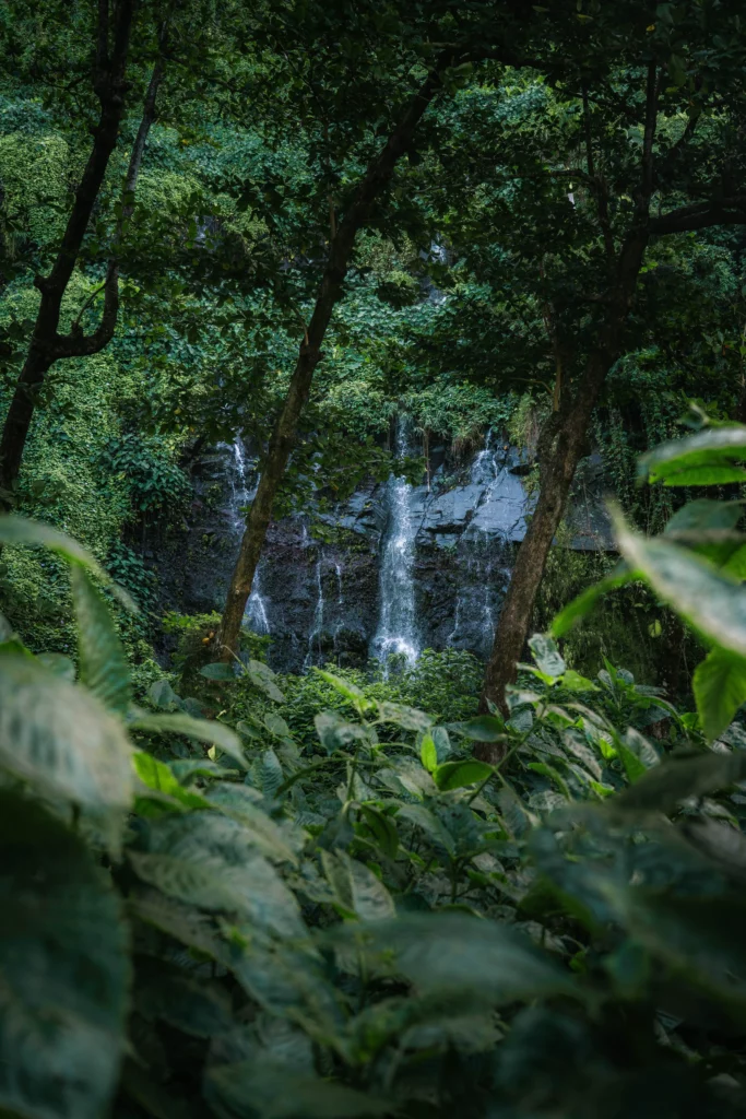Réunion – 52