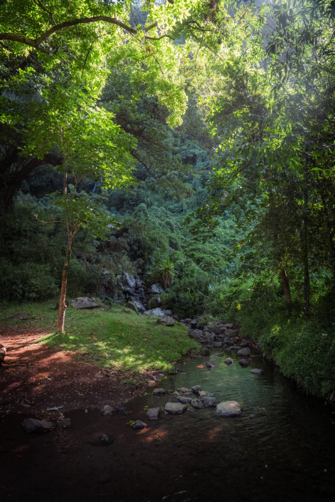 Réunion – 53