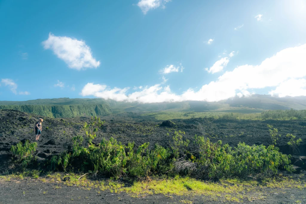 Réunion – 54