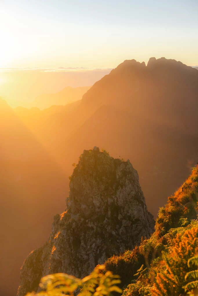 Réunion – 72