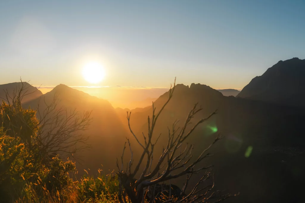 Réunion – 73
