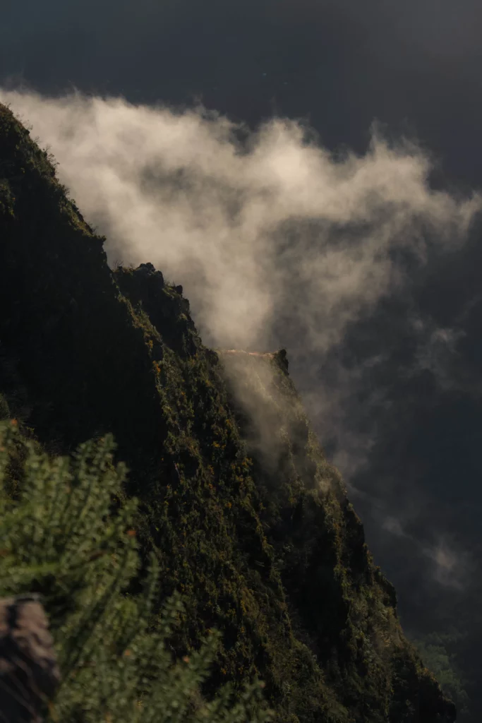 Réunion – 74